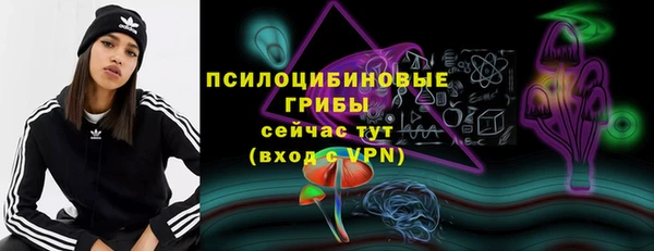 не бодяженный Аркадак