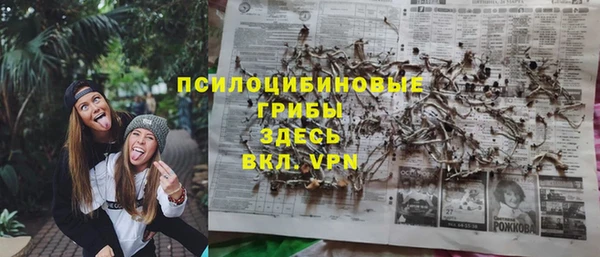 не бодяженный Аркадак