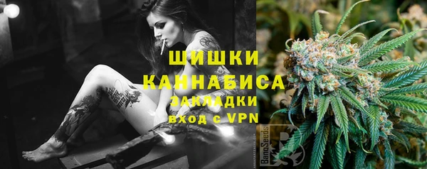 кокс Арсеньев