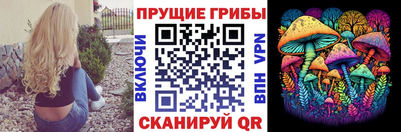 Галлюциногенные грибы Cubensis  ссылка на мегу маркетплейс  Спасск-Дальний 